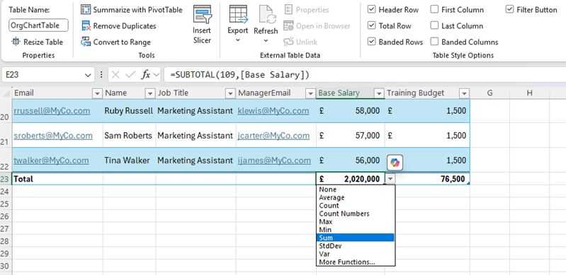Excel table showing salary and training budget totals with a summary dropdown open.